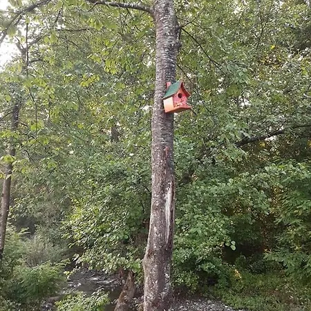 Апартаменты Sumska Tajna