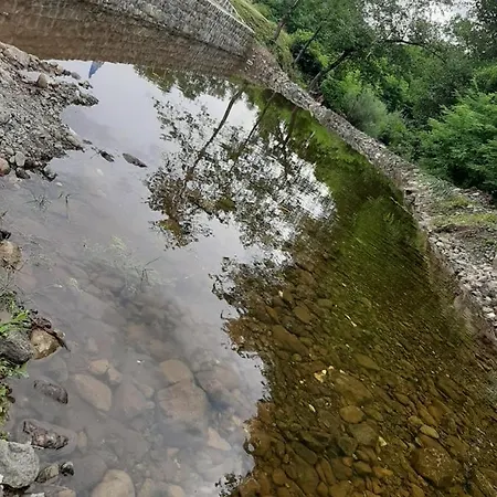 Sumska Tajna * Mokra Gora