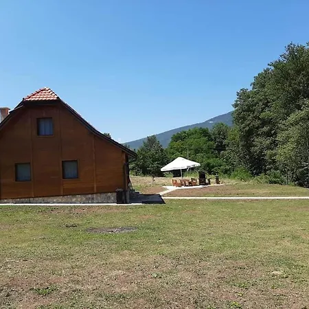 Sumska Tajna * Mokra Gora