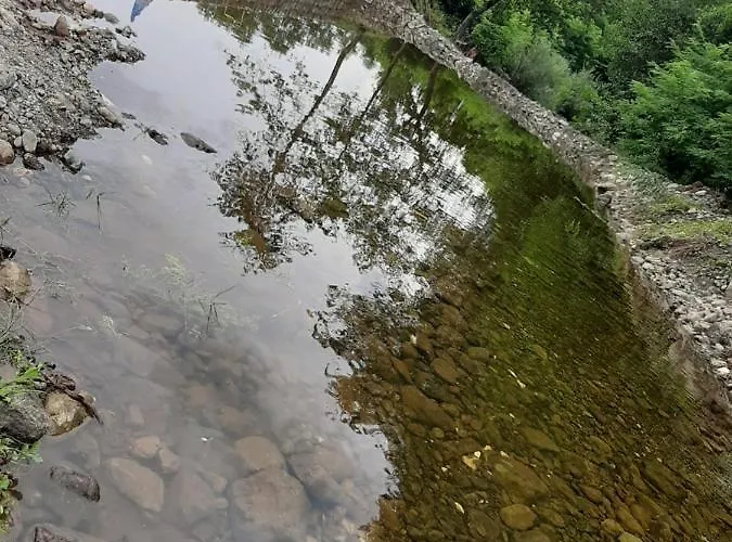 Sumska Tajna * 莫克拉戈拉